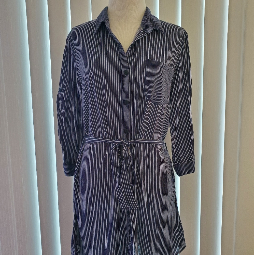 Blue striped button front mini dress